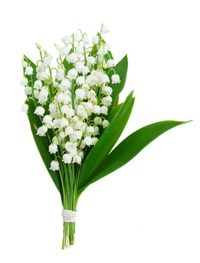 florists bouquets  / wedding bouquets